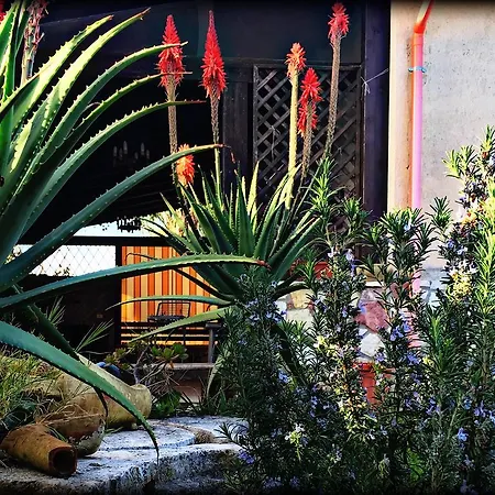 Country house Casa Leone